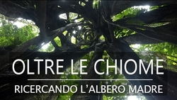 Oltre le chiome – Ricercando l’albero Madre - Spedizione Ecuador