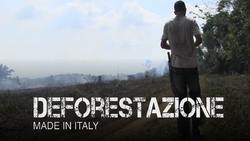 Deforestazione made in Italy